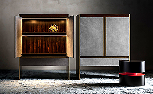 Cabinet in Leather and Macassar Ebony