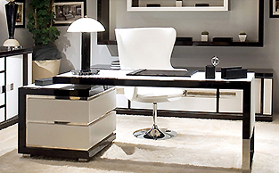 Designer Desk Macassar Ebony and Leather