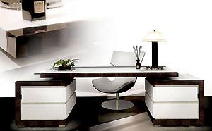 Macassar Ebony and Leather Desk
