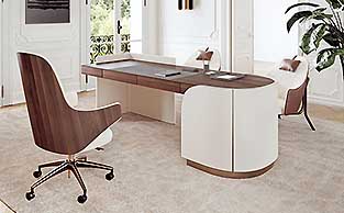 Contemporary Design Leather and Wood Desk