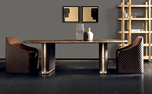 Modern Design Carver Dining Chair 